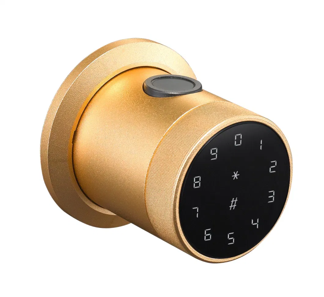 Sk-1 Gd Deadbolt Electronic Intelligent Lock Handle Lock Smart Home Door Lock