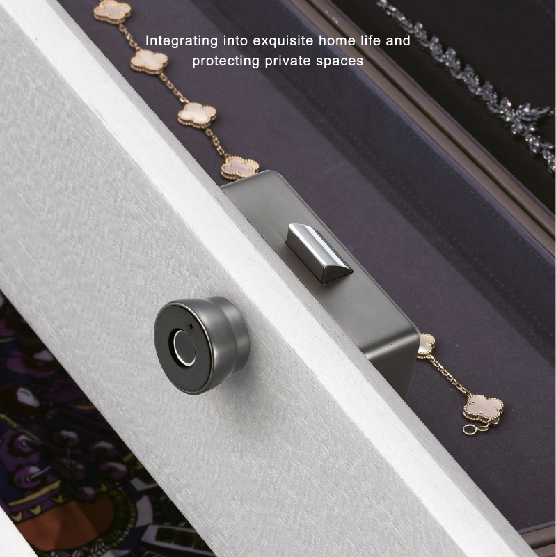 Fingerprint Lock Cabinet Locks Biometric Keyless Wooden Box Furniture Drawer Fingerprint Locks