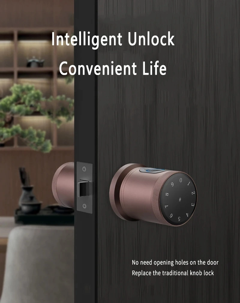 Smart Lock Tuya WiFi Keyless Biometric Round Fingerprint Security Anti-Theft Smart Knob Door Lock