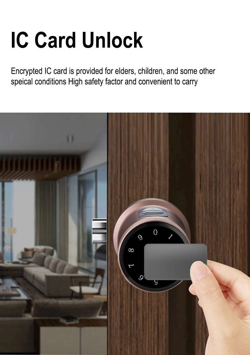 Smart Lock Tuya WiFi Keyless Biometric Round Fingerprint Security Anti-Theft Smart Knob Door Lock