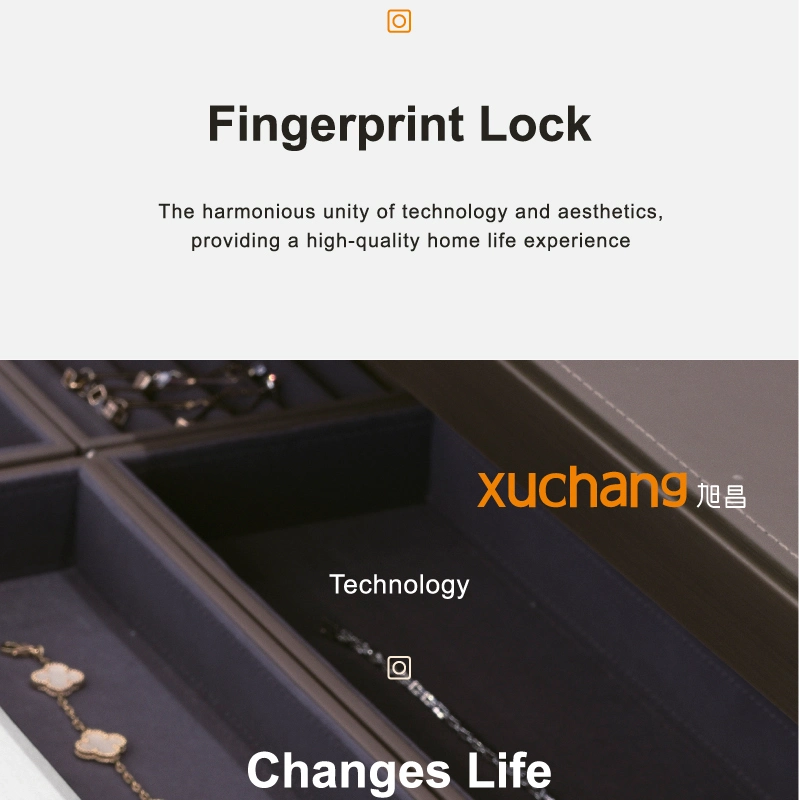 Fingerprint Lock Cabinet Locks Biometric Keyless Wooden Box Furniture Drawer Fingerprint Locks