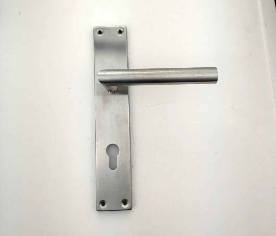 304/201 Stainless Steel Plate Hollow Tube Handle Mortise Lock (SS0115)