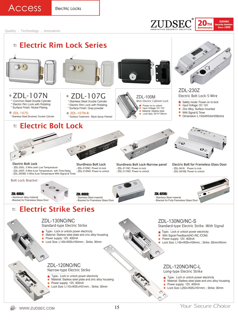 High Security Electric Rim Lock with Double Cylinder