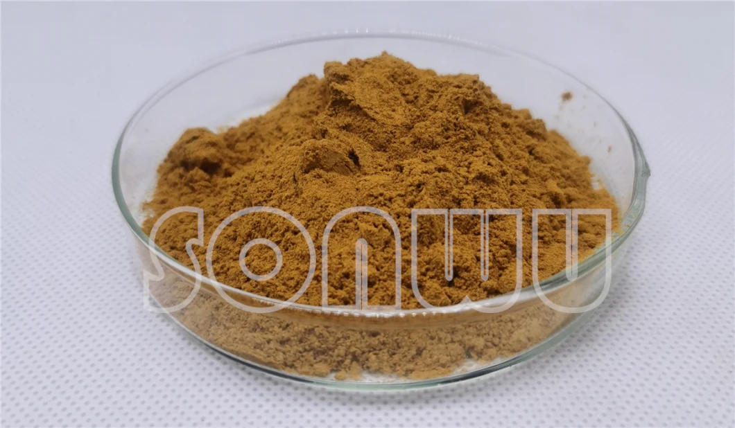 Sonwu Supply Lotus Leaf Extract Nuciferine for Weight Loss
