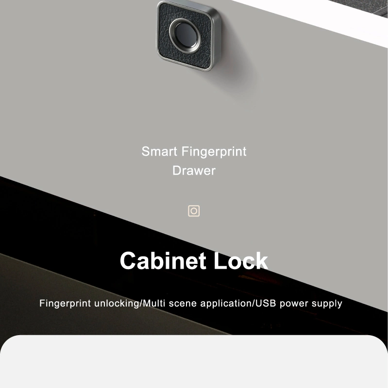 Fingerprint Lock Cabinet Locks Biometric Keyless Wooden Box Furniture Drawer Fingerprint Locks