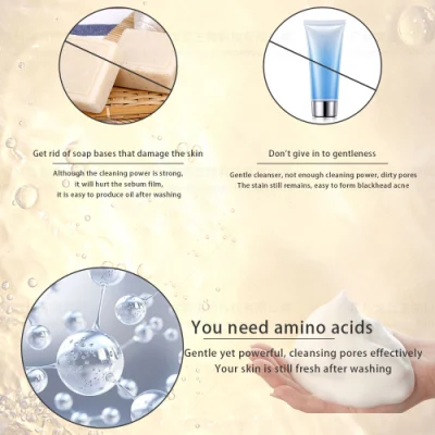 OEM Global Delivery Oily Skin Face Wash Deep Cleansing Multifunctional Facial Cleanser