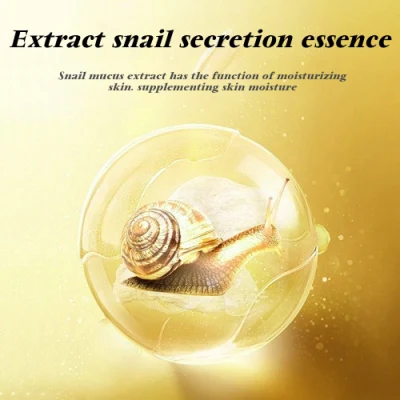Beauty Cosmetics Skin Care Moisturize Deeply and Shrink Pores Snail Sheet Masks