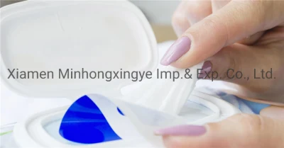 OEM Custom Logo Print Eco Friendly Facial Cleansing Portable Travel Pack Alcohol-Free Wet Tissue Baby Wipes