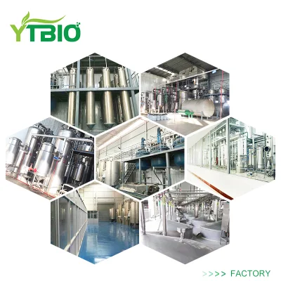 Ytbio Supply Silk Peptide Protein/Silk Protein Powder with Free Sample