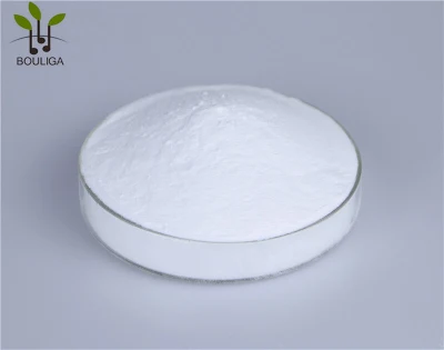 Hyaluronic Acid Acetylated Sodium Hyaluronate Powder New Efficient Skin Softening Factor