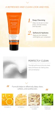 Wholesale Skin Care Organic Deep Refreshed Cleanser for Oily Skin Vitamin C Facial Foam