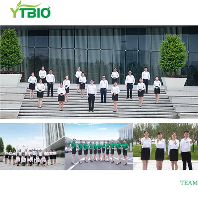 Ytbio Supply Silk Peptide Protein/Silk Protein Powder with Free Sample