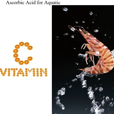 Enhance Immunity Vitamin C Anti-Aging Skin Care