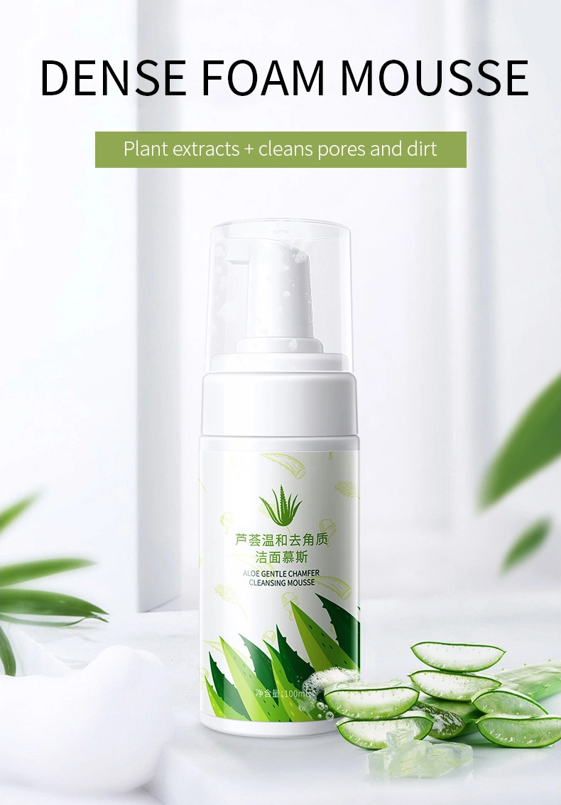OEM Aloe Vera Deep Cleansing Exfoliating Face Cleaner Mousse Moisturizing Brightening Foam Face Wash Facial Cleanser