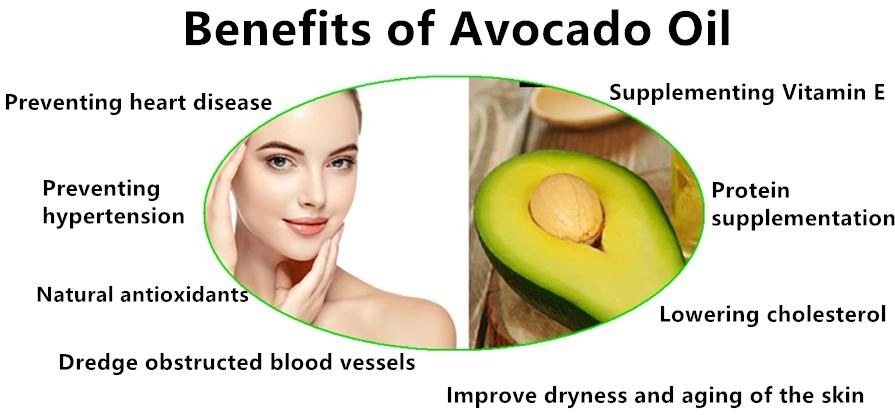 High Quality Organic Avocado Oil Carrier Oils Avocado Seed Oil for Skin and Hair Care