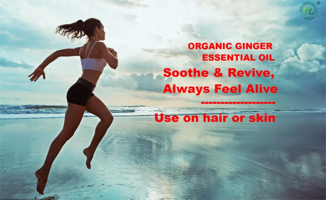 Hl - Natural Herbal Extract Hair Growth Oils Manufacturer, Organic Ginger Essential Oil for Hair Nourishment, Weight Loss
