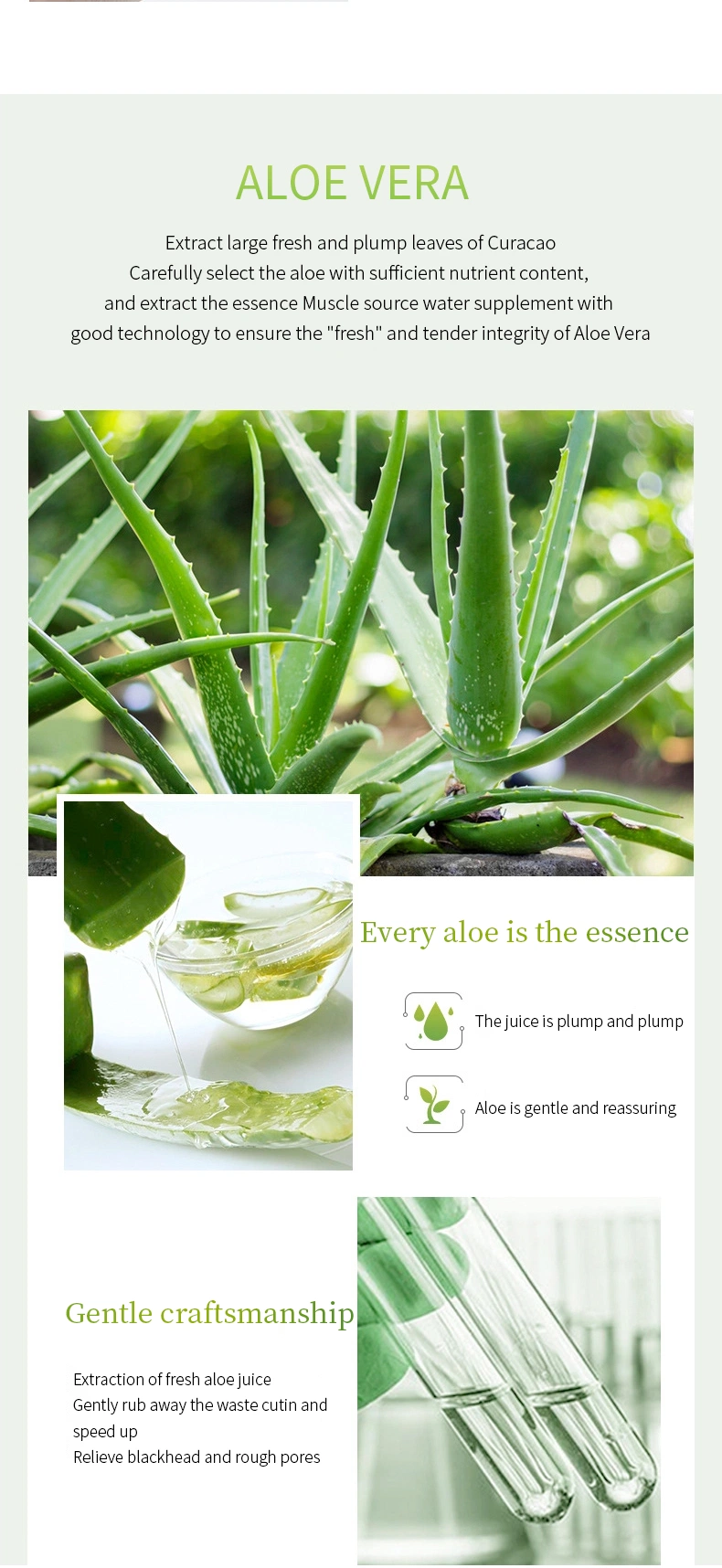 OEM Aloe Vera Deep Cleansing Exfoliating Face Cleaner Mousse Moisturizing Brightening Foam Face Wash Facial Cleanser