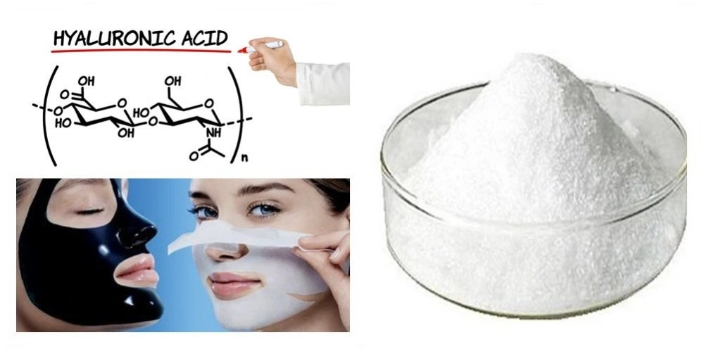 High Quality Cosmetic Grade Sodium Hyaluronate Hyaluronic Acid Powder