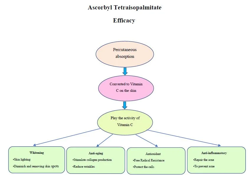 Skin Care Antioxidant Vitamin C Derivative Ascorbyl Tetraisopalmitate Vc-IP Tetrahexyldecyl Ascorbate