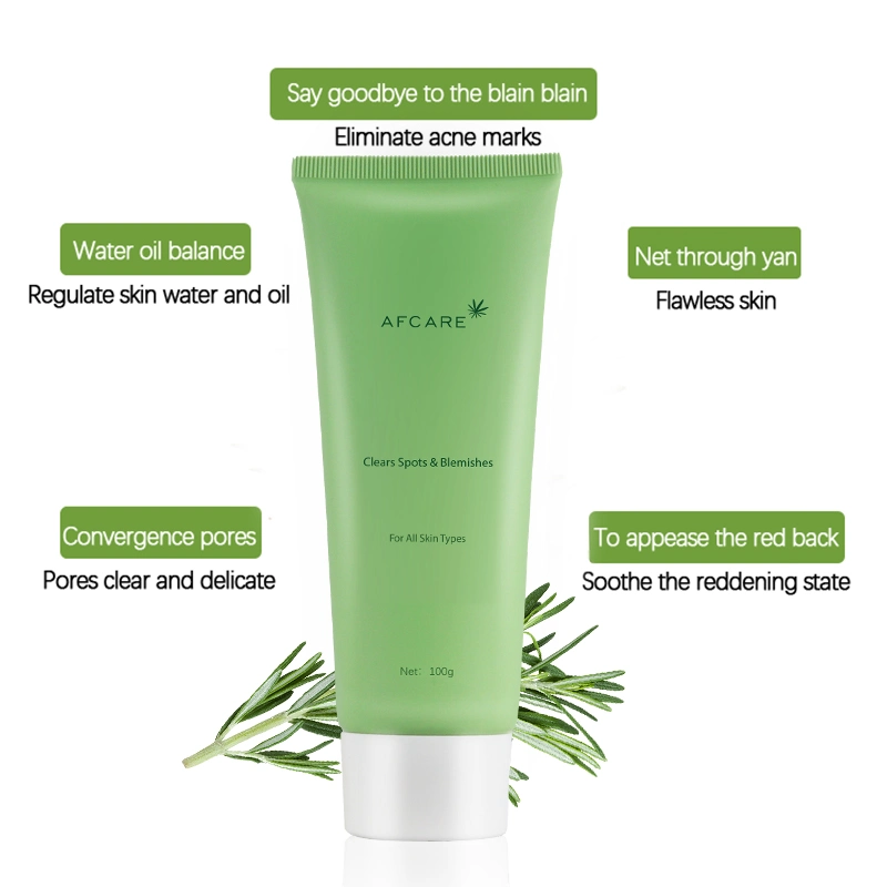 Manufacturer Private Label Tea Tree Pore Shrinking Cleansing Anti-Wrinkle Face Cleanser for Dry Skin