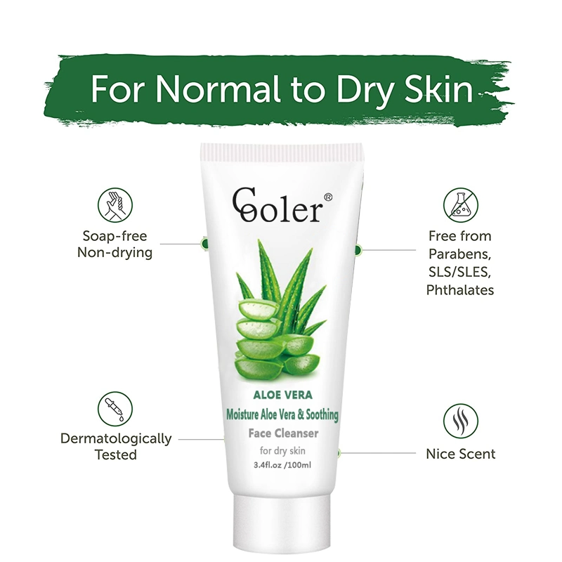 Aloe Vera Whitening Paramount Pass Facial Scrub Cream Face Cleanser with Good Service