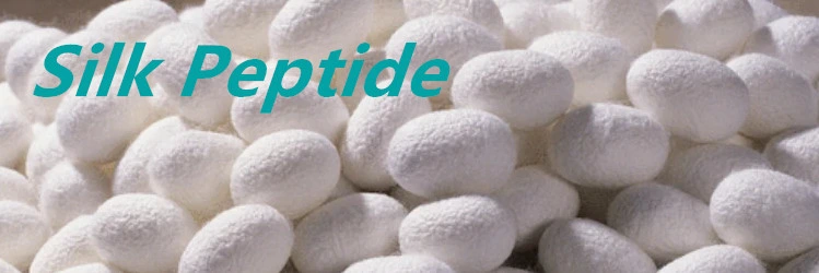Ytbio Supply Silk Peptide Protein/Silk Protein Powder with Free Sample