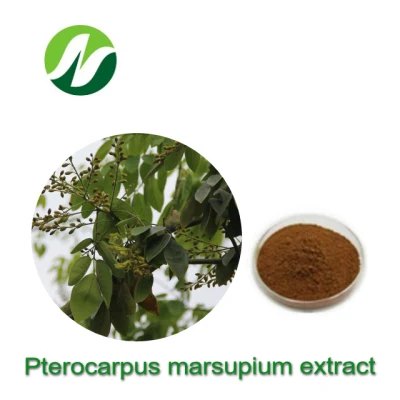  Fábrica GMP de alta calidad Extracto de Vijayasar 5% Pterostilbeno Extracto de Pterocarpus Marsupium