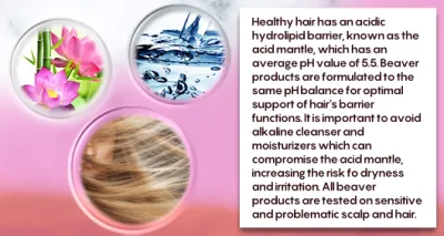 Private Label volumen saltarinas champú y acondicionador nutrir y zapatos para el cabello fino