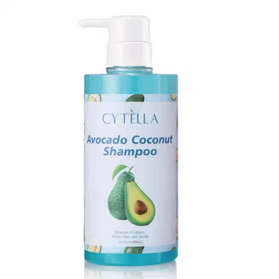  Limpiar el pelo y Nol Jrish el cabello dañado y todos los tipos de Curl, libre de sulfato de aguacate Champú Hidratante de potencia