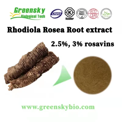  La medicina herbaria china Rhodiola Rosea polvo Red-Brown Extracto de raíz de un 2,5%, el 3% Rosavins reponer Qi y sangre para regular el equilibrio de la función inmune