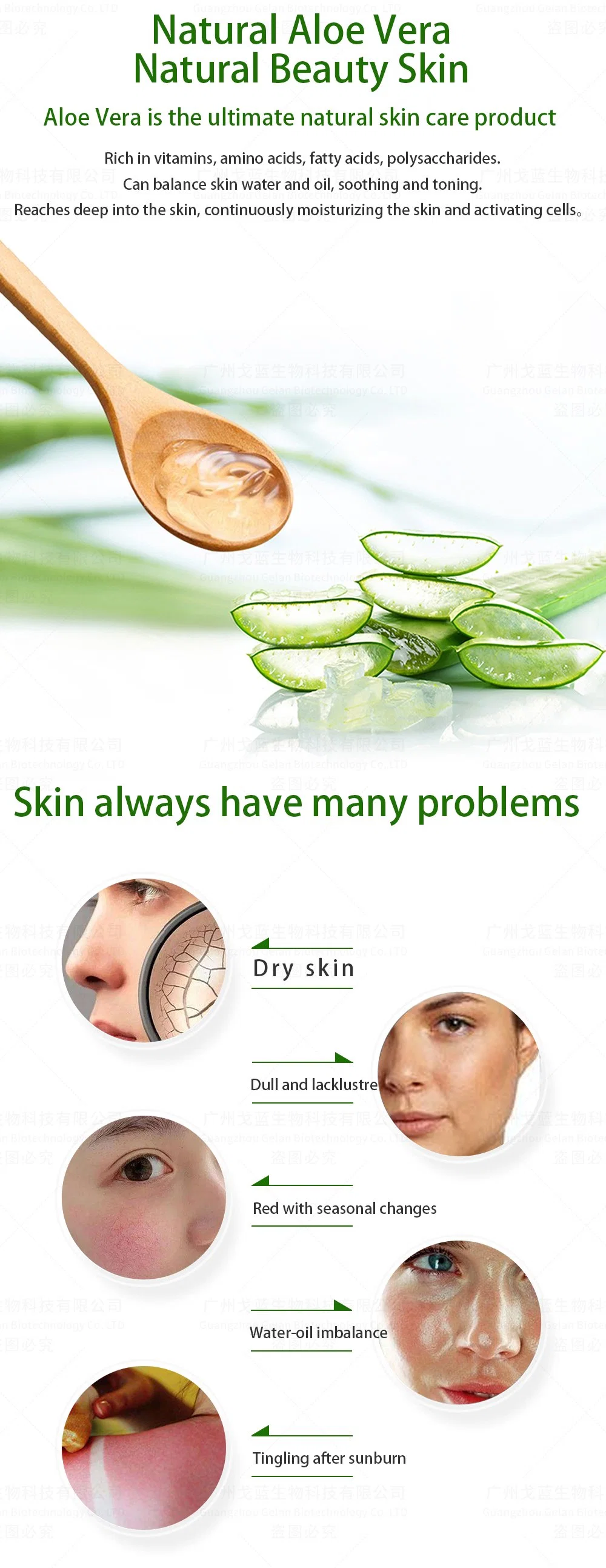 Factory Anti Wrinkle Aloe Vera Gel Face Skin Moisturizer
