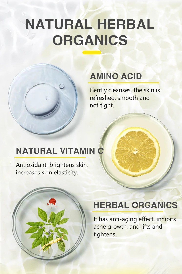 OEM Custom Private Label Facial Cleanser Deep Cleansing Gentle Natural Organic Vitamin C Amino Acid Face Wash