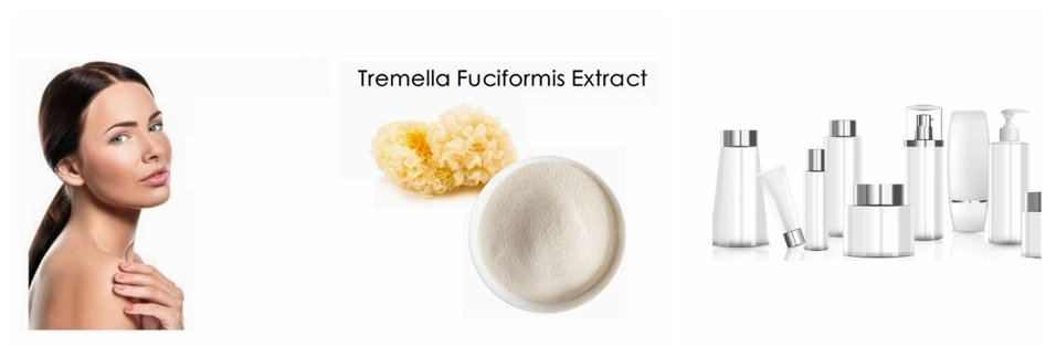 Cosmetic Grade Tremella Extract Supplier