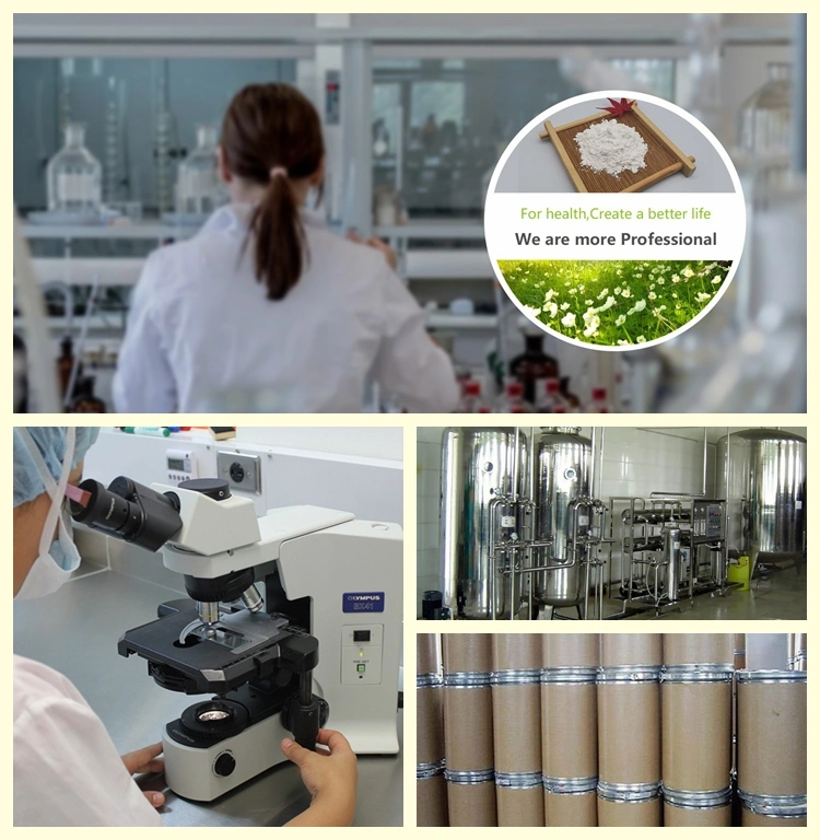 Manufacturer Supply High Quality CAS 84775-55-3 Dandelion Extract