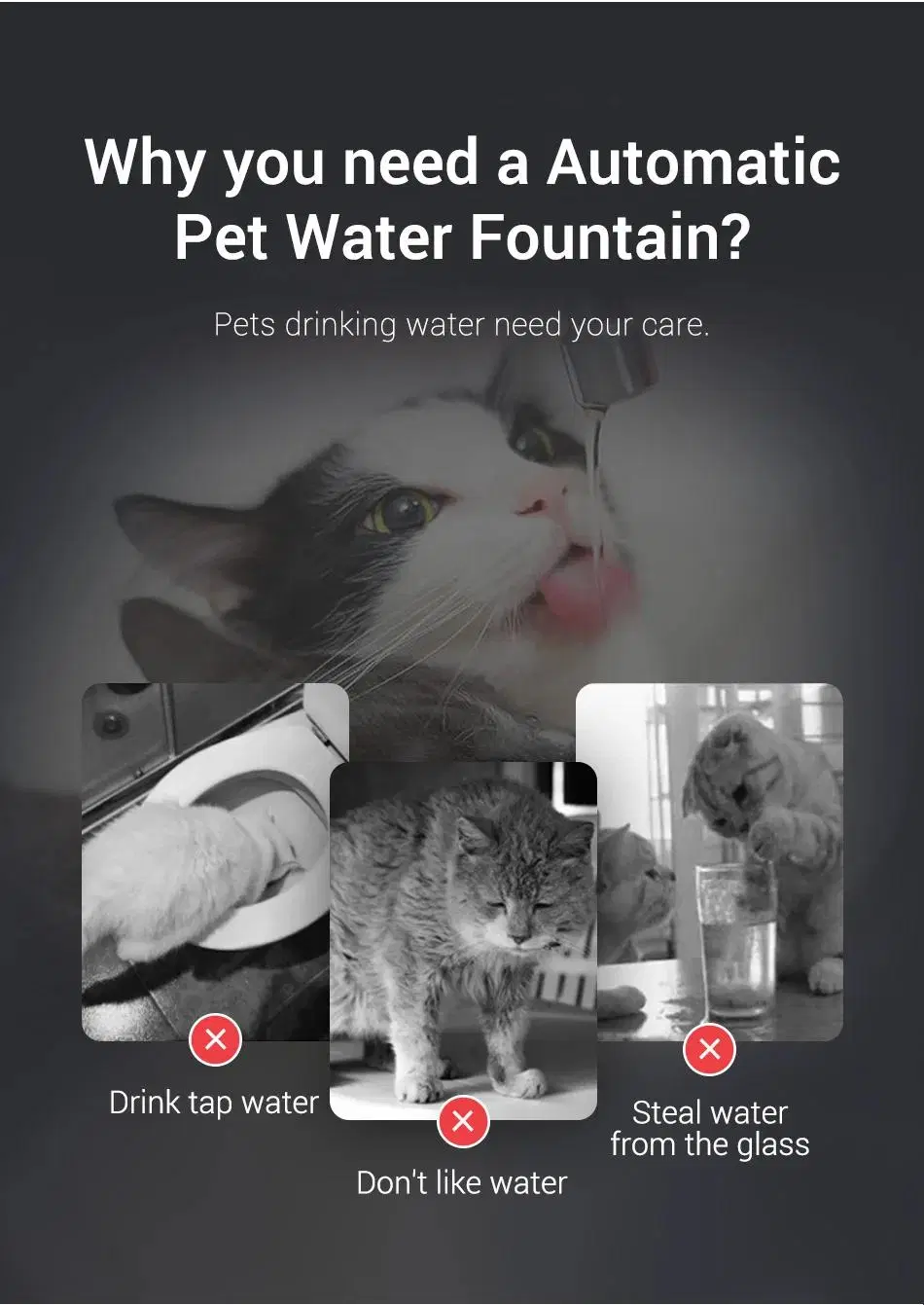 Fully Transparent Pet Supplies 2L Capacity Plastic Pet Cat Dog Small Water Dispenser Automatic Smart Induction Pet Water Fountain