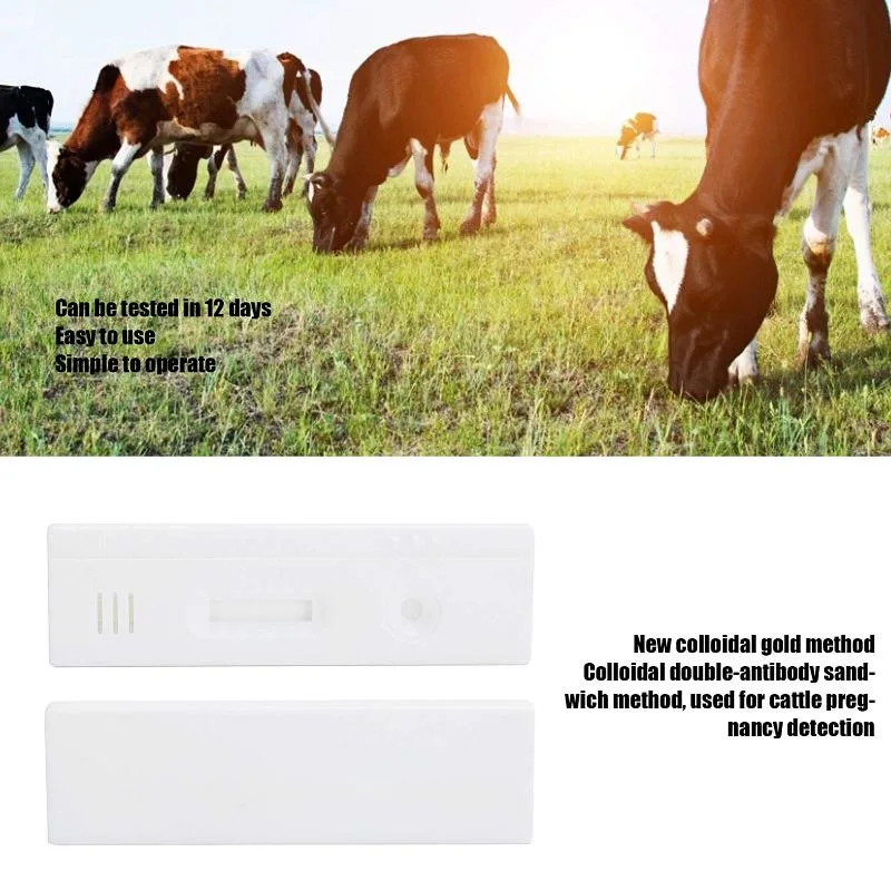 Manufacturer supply serum cow PAG rapid test to detection of early pregnancy of cattle