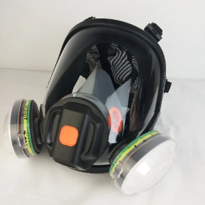 China New Design Speaking Amplifier Safety Respirator Gas Mask Full
