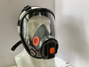 China New Design Speaking Amplifier Safety Respirator Gas Mask Full