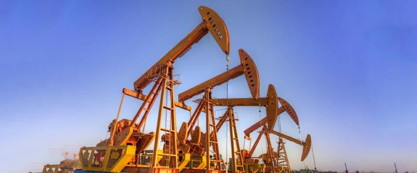 PAC for Oil Drilling Grade