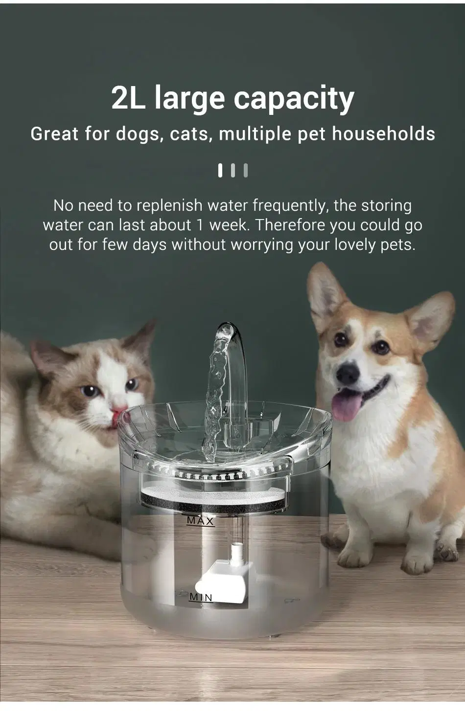 Fully Transparent Pet Supplies 2L Capacity Plastic Pet Cat Dog Small Water Dispenser Automatic Smart Induction Pet Water Fountain