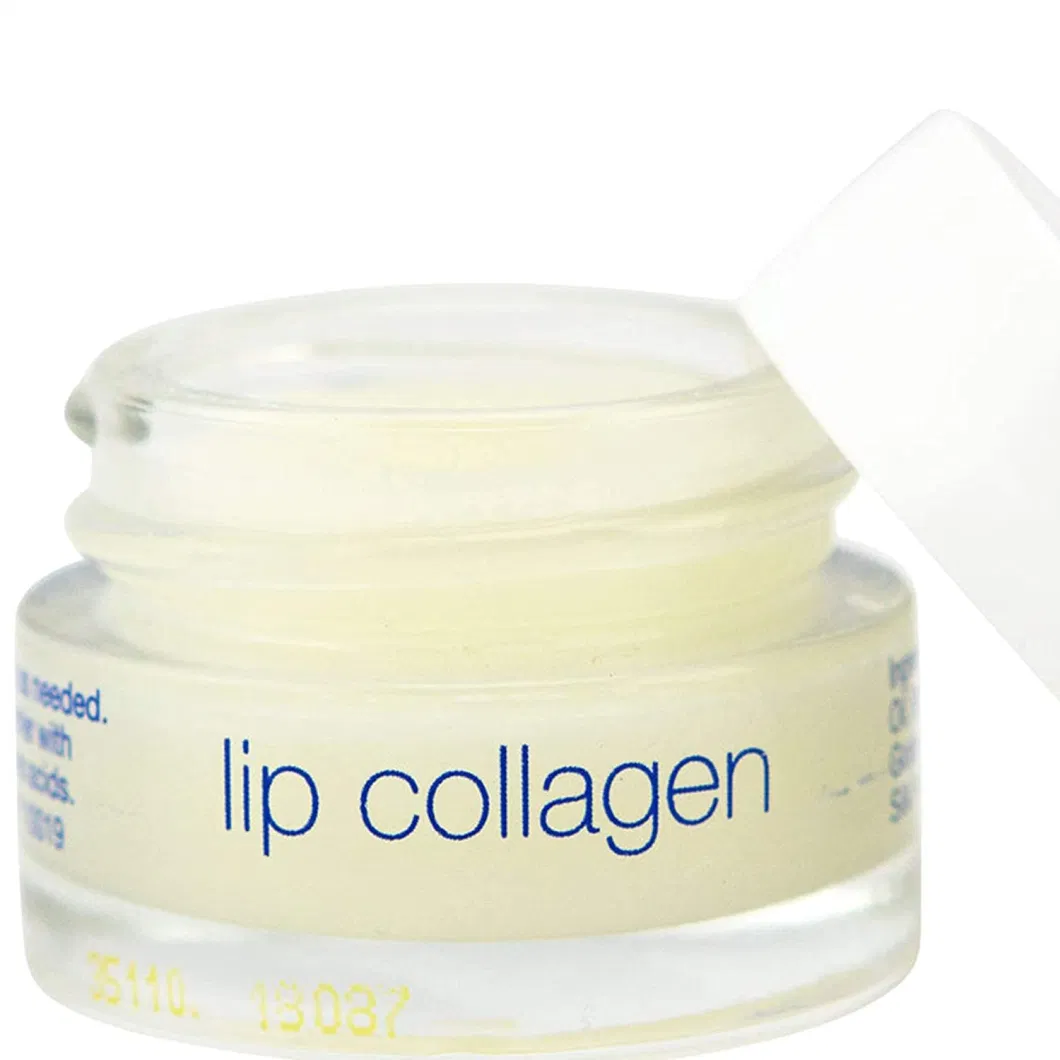 Beauty Cosmetics Skin Care Moisturizer Lip Sleep Mask with Collagen Peptide