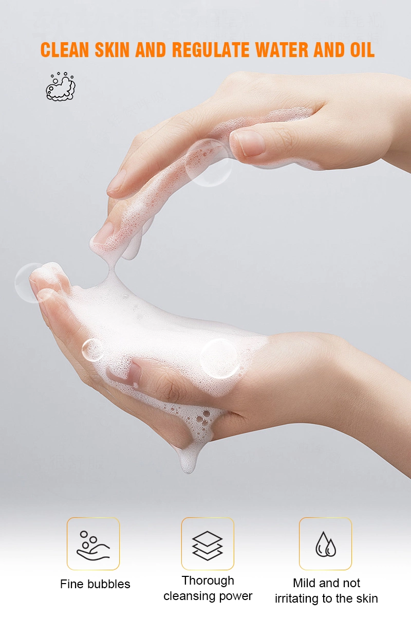 Foam Facial Cleanser Gentle Daily Skin Cleanser