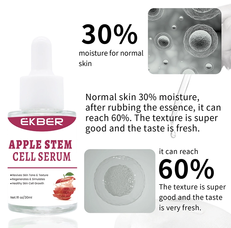 OEM Hydrating Reduce Wrinkles Restore Elasticity Apple Stem Cell Serum