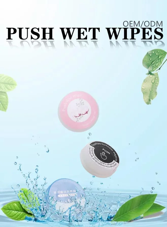 OEM New Style Custom Disposable Cleaning Push Wet Wipes for Daily Use