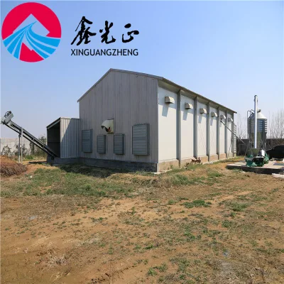Modern Farm Chicken House Prefabricated Steel Frame Chicken House Environmental Protection Chicken Shed