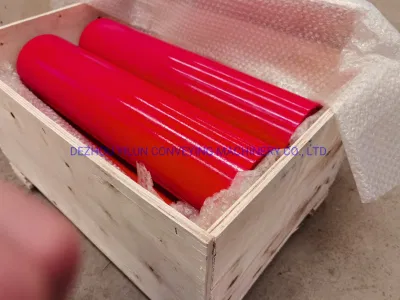 China Direct Factory Carrier Roller for Belt Conveyor with Long Life-Span 50000 Hours