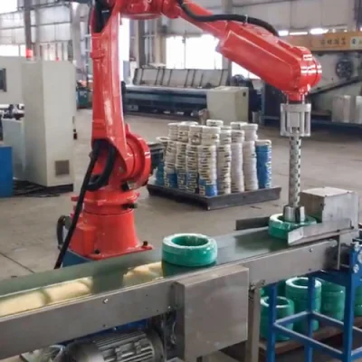Manufacturer Custom 20kg TIG/MIG/Mag High-Speed Six Axis Grinding Polishing Welding Cutting Robot Arm