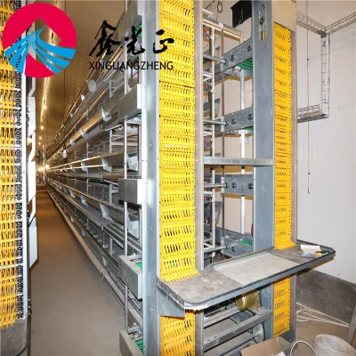 Modern Farm Chicken House Prefabricated Steel Frame Chicken House Environmental Protection Chicken Shed