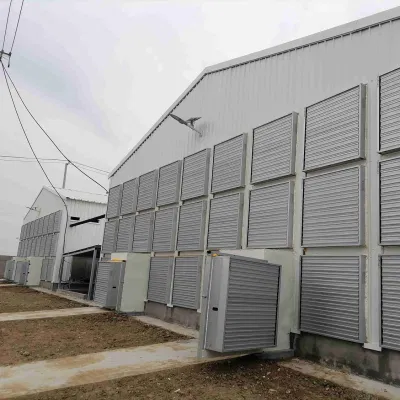 Poultry Farm House Steel Structure Shed Chicken House with Gable Frame