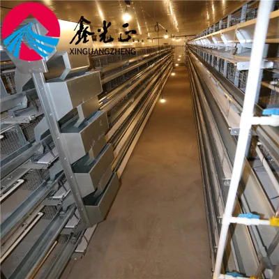 Modern Farm Chicken House Prefabricated Steel Frame Chicken House Environmental Protection Chicken Shed